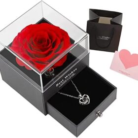 מארז ורד עם שרשרת עם תמונה מיקרסקופית של אוהב אותך בשפות העולם