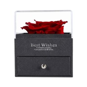 מארז ורד עם שרשרת עם תמונה מיקרסקופית של אוהב אותך בשפות העולם