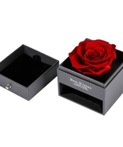 מארז ורד עם שרשרת עם תמונה מיקרסקופית של אוהב אותך בשפות העולם