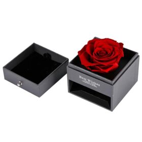 מארז ורד עם שרשרת עם תמונה מיקרסקופית של אוהב אותך בשפות העולם